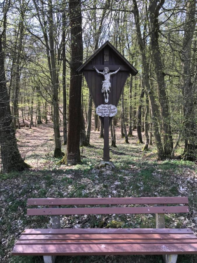 Pension-Ferienwohnung Liesbachtal Direkt Am Waldrand Bayerische Rhoen Schönau an der Brend Exteriör bild