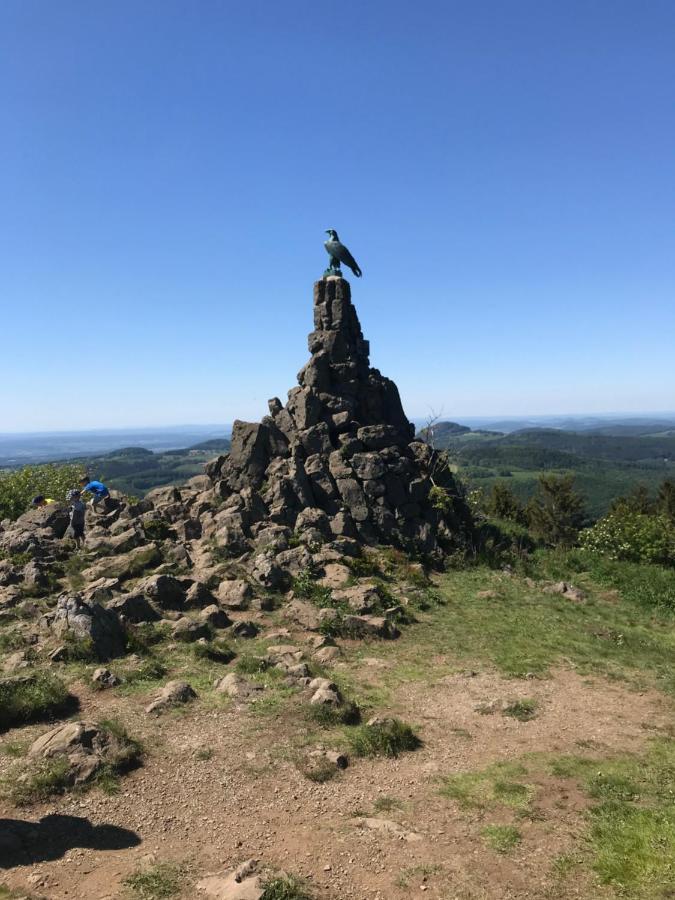 Pension-Ferienwohnung Liesbachtal Direkt Am Waldrand Bayerische Rhoen Schönau an der Brend Exteriör bild