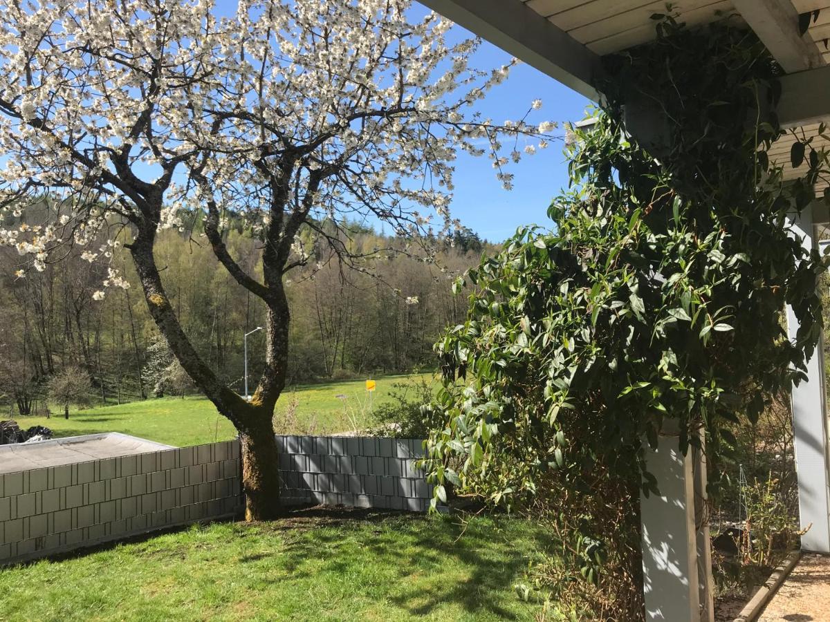 Pension-Ferienwohnung Liesbachtal Direkt Am Waldrand Bayerische Rhoen Schönau an der Brend Exteriör bild