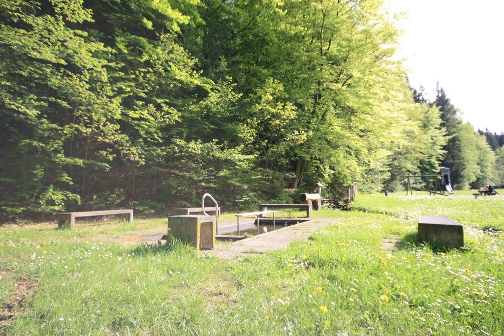 Pension-Ferienwohnung Liesbachtal Direkt Am Waldrand Bayerische Rhoen Schönau an der Brend Exteriör bild