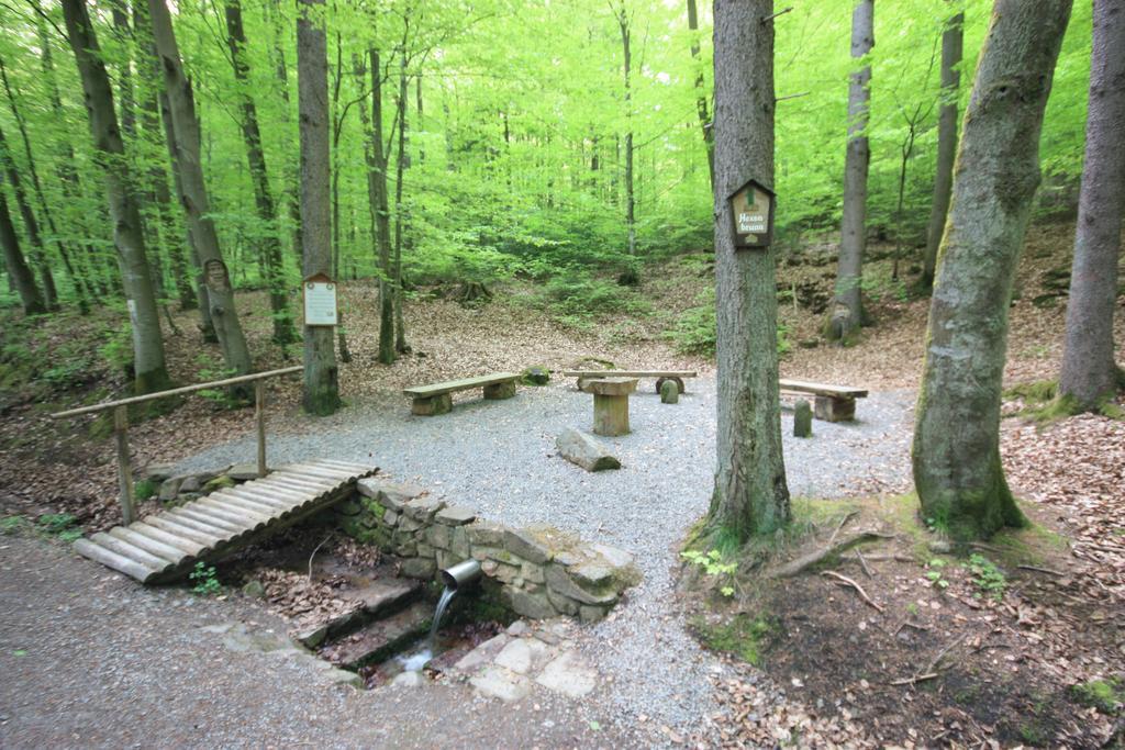 Pension-Ferienwohnung Liesbachtal Direkt Am Waldrand Bayerische Rhoen Schönau an der Brend Exteriör bild