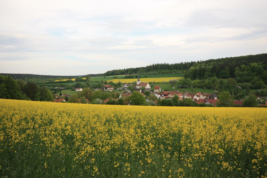 Pension-Ferienwohnung Liesbachtal Direkt Am Waldrand Bayerische Rhoen Schönau an der Brend Exteriör bild